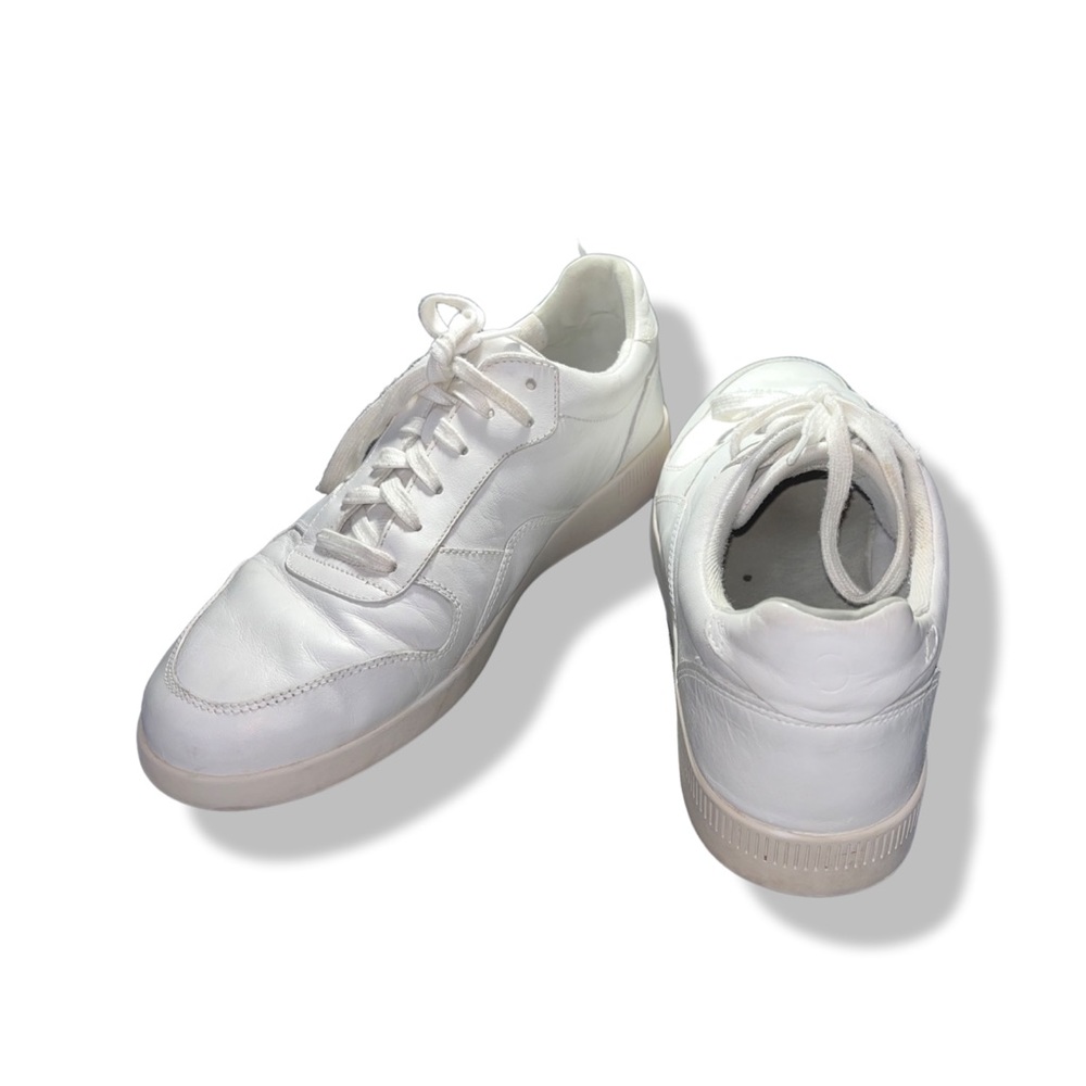 Clearlane Everlane White Court Sneakers